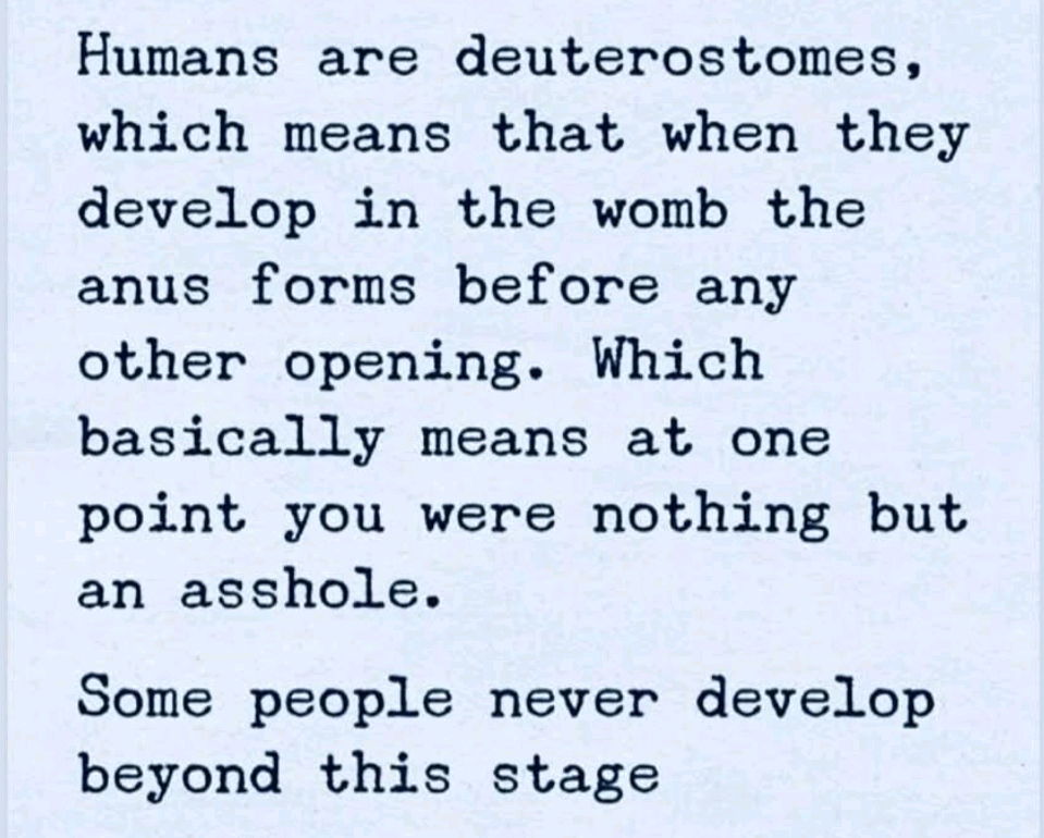 Fun fact 😁