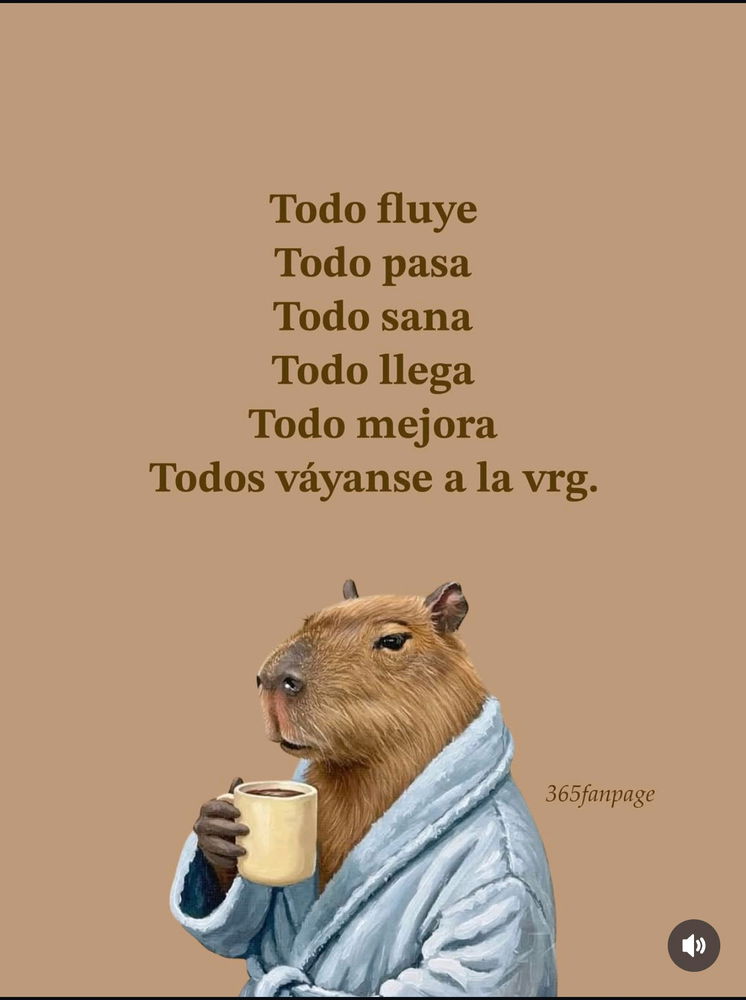 ☕✨✨🤣
