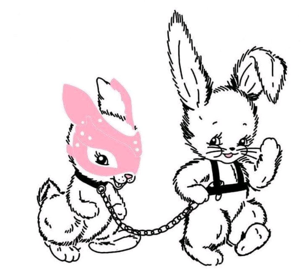 Bunny