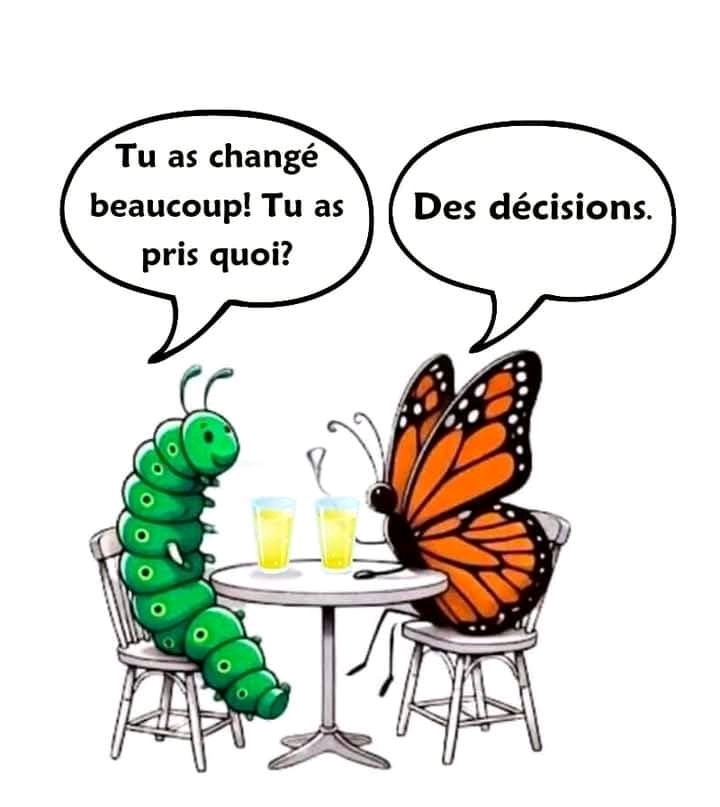 Certaines décisions métamorphosent....