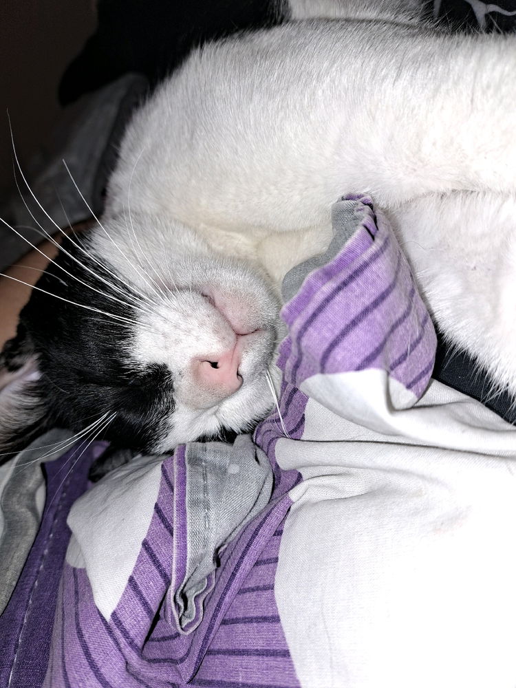 Esta cansado