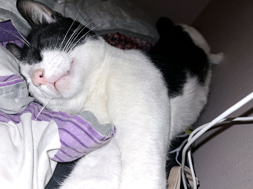 Esta cansado