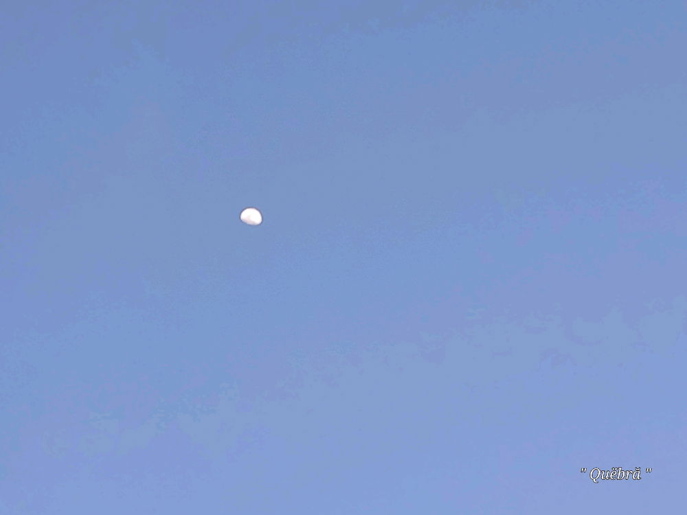 Respire !!!! Et ça Passeras . 
Lâche prise !!!  Et tu Avanceras ....

Seule , celui qui est condamné à rester sur place , qui est le droit de mourrir à petit feu 🔥