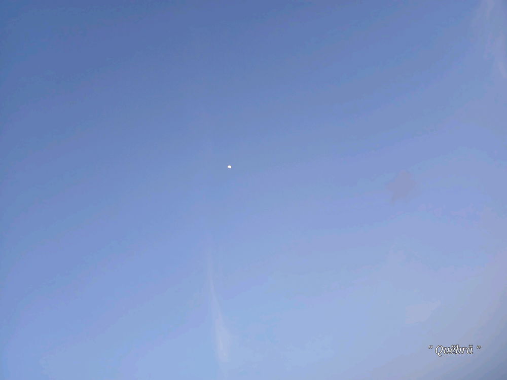 Respire !!!! Et ça Passeras . 
Lâche prise !!!  Et tu Avanceras ....

Seule , celui qui est condamné à rester sur place , qui est le droit de mourrir à petit feu 🔥