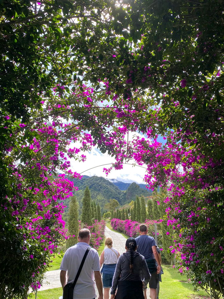 Salento Quindío - Colombia 🇨🇴