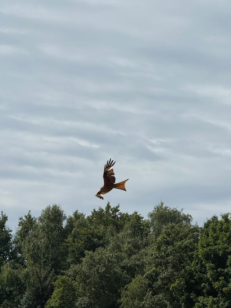 Ottenhagener Moor - Kleine Wanderung