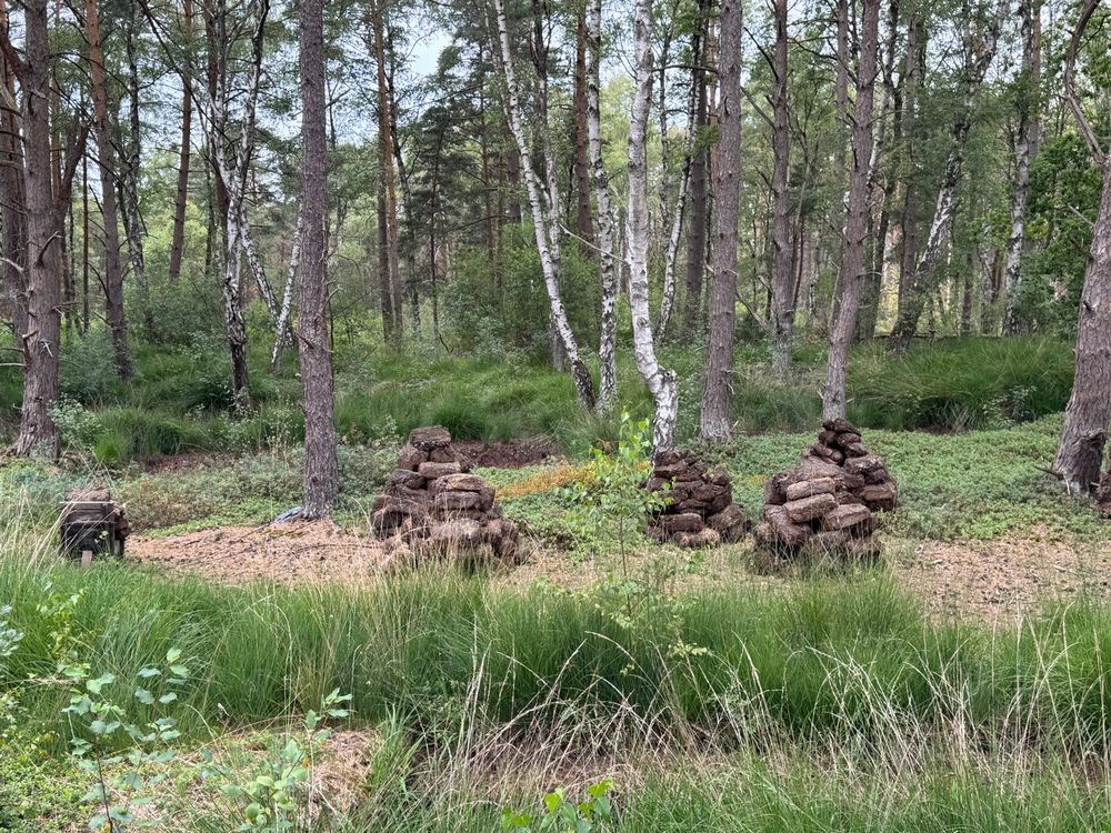 Ottenhagener Moor - Kleine Wanderung
