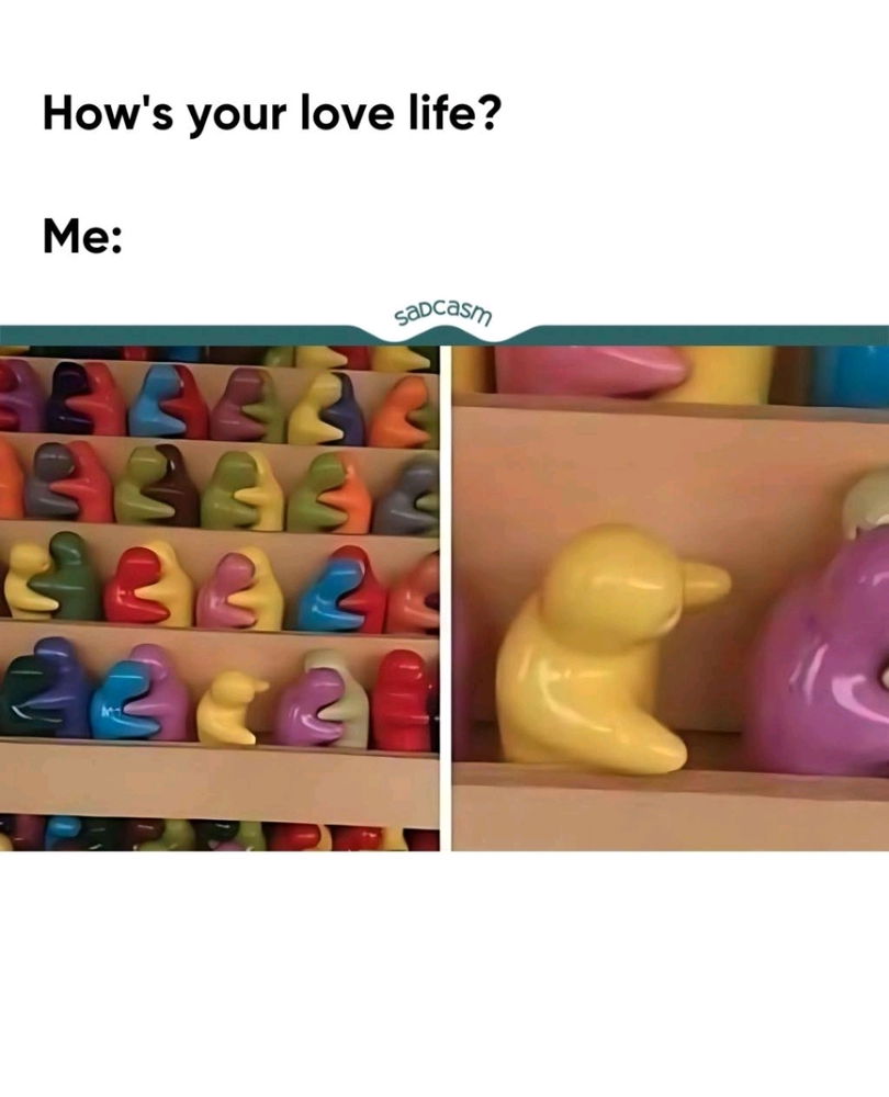 👤