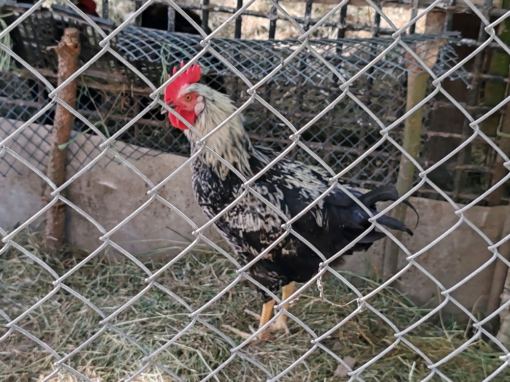 👋
