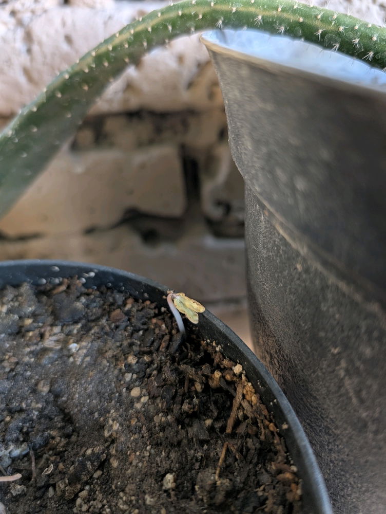 Starting a new life