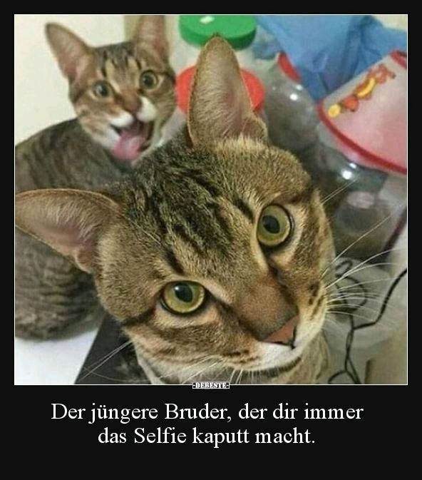 😂 🙃