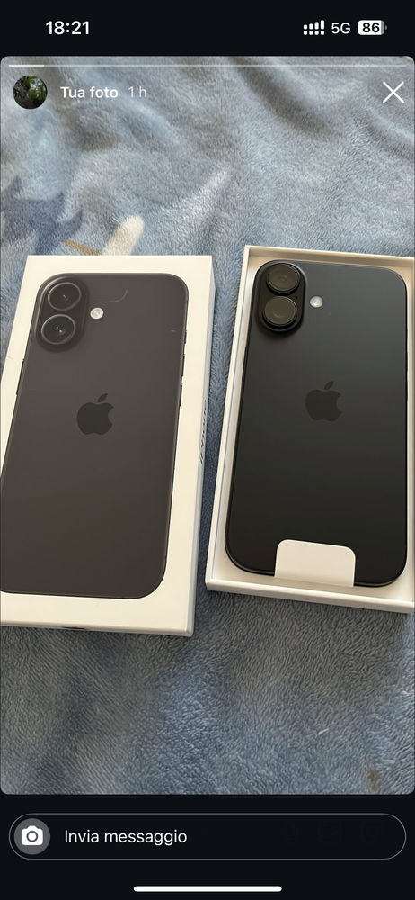 Il nuovo arrivato 📱16