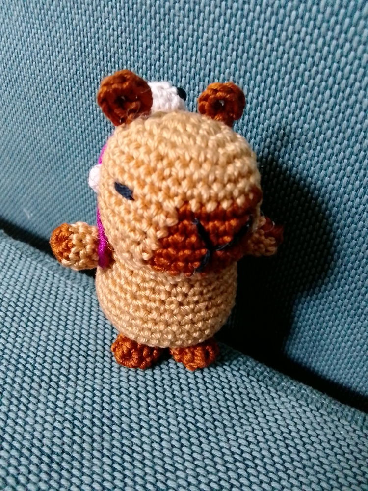 Capybara
