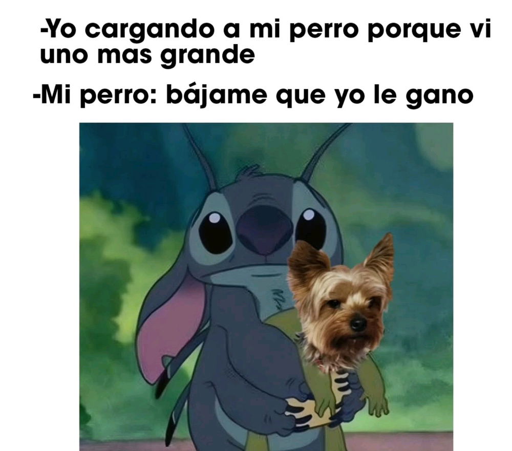 😄😂