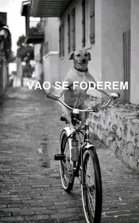 Saindo da aula de filosofia...
