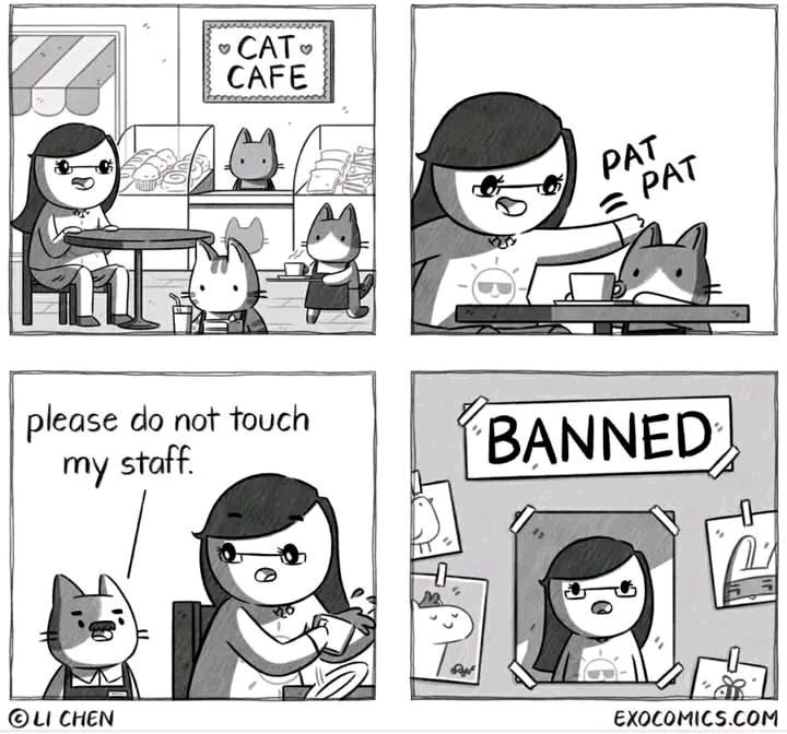 Cat cafe