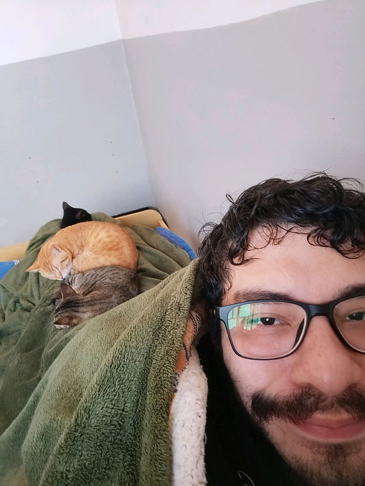 Só gato roncando