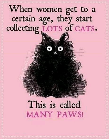 Many paws