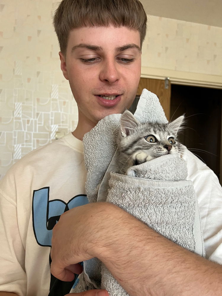 Дивіться який в мене є кіт