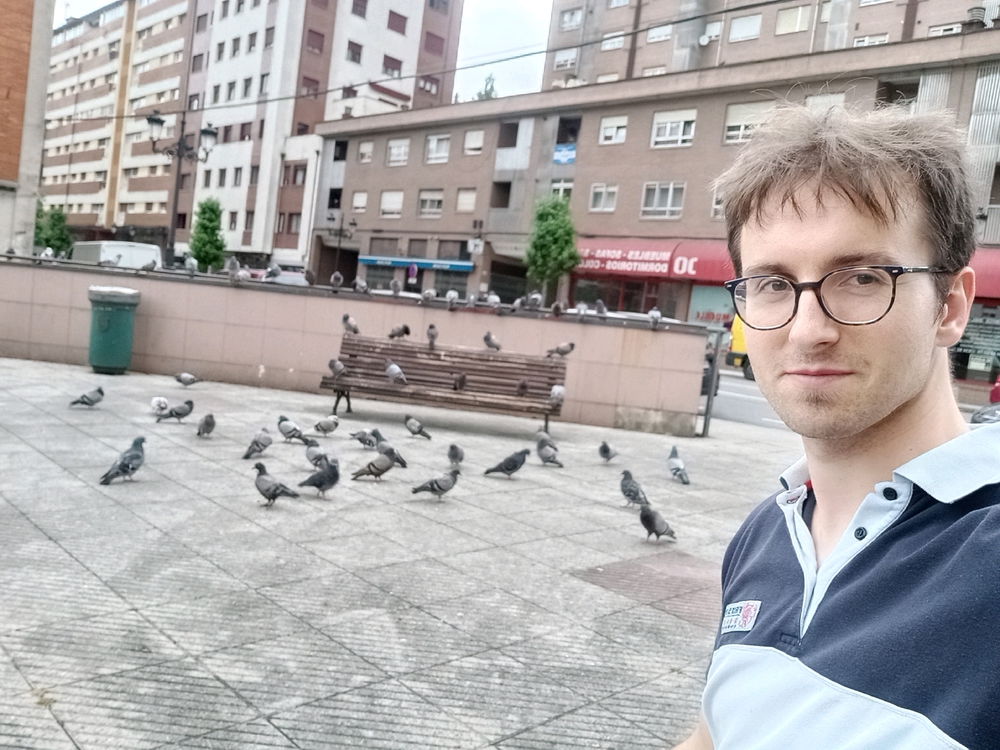 I miss you pidgeons