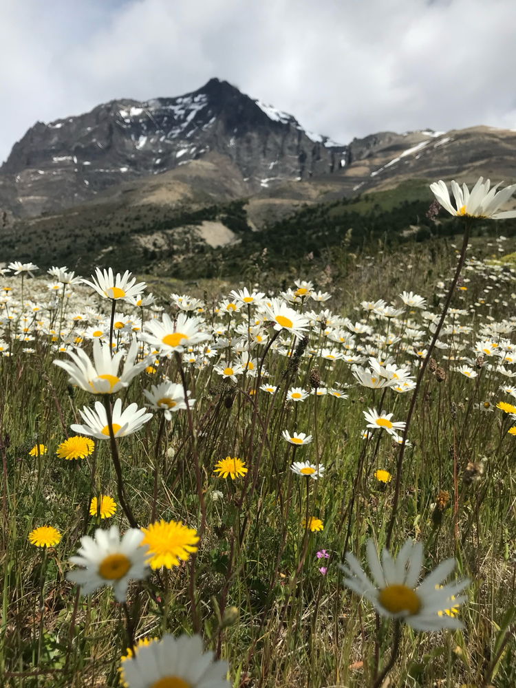 Torres Del Paine