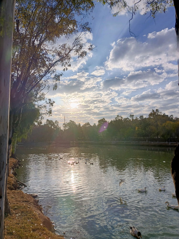 Pasen fotos de sus paisajes bonitos y lugares verdes. ✨