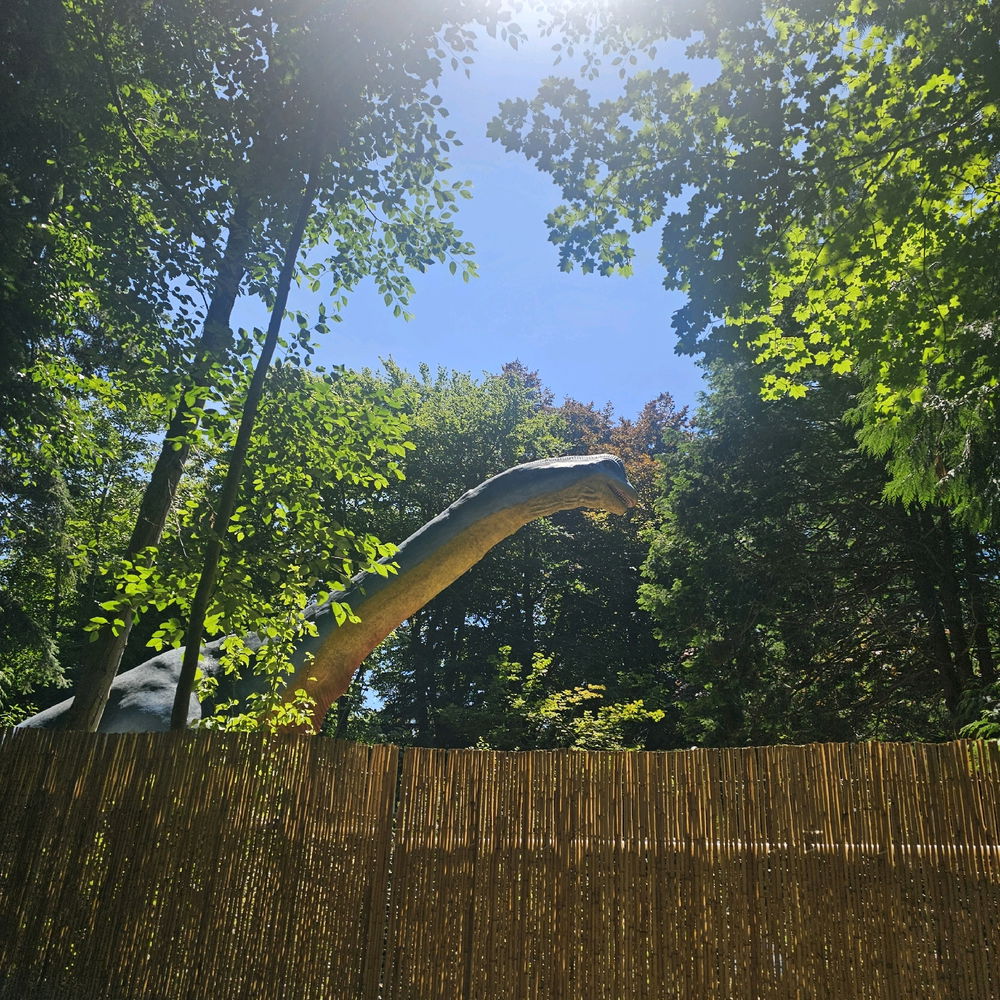 Went to the Woodland Zoo in Seattle