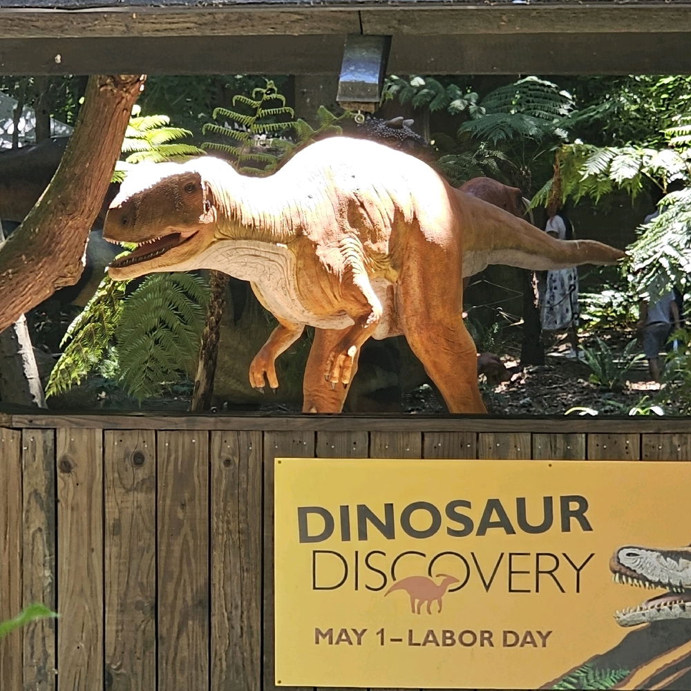 Went to the Woodland Zoo in Seattle