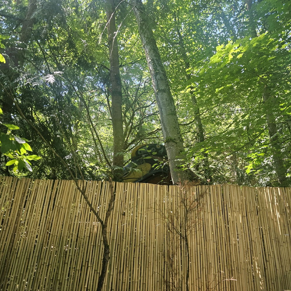 Went to the Woodland Zoo in Seattle