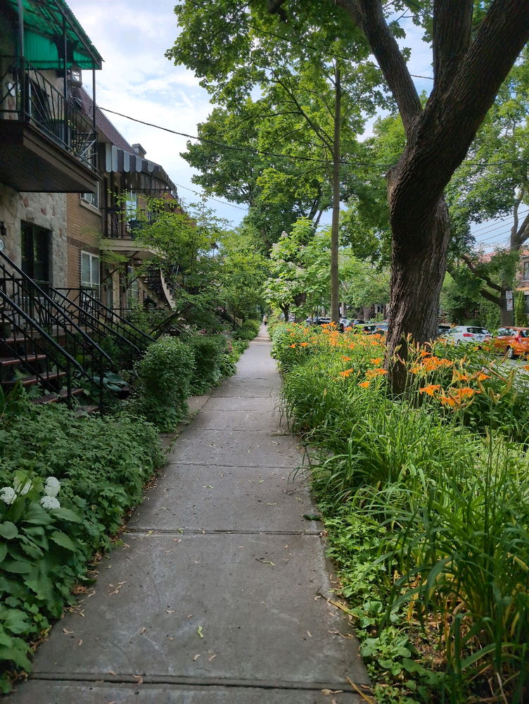 Greenish walk