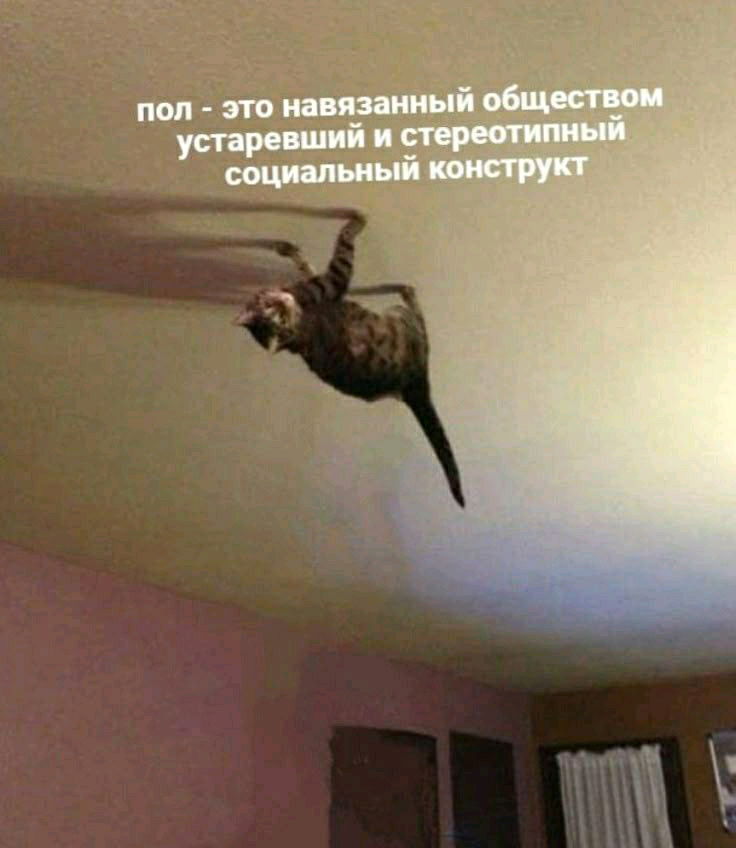 Не прогибайтесь под общество