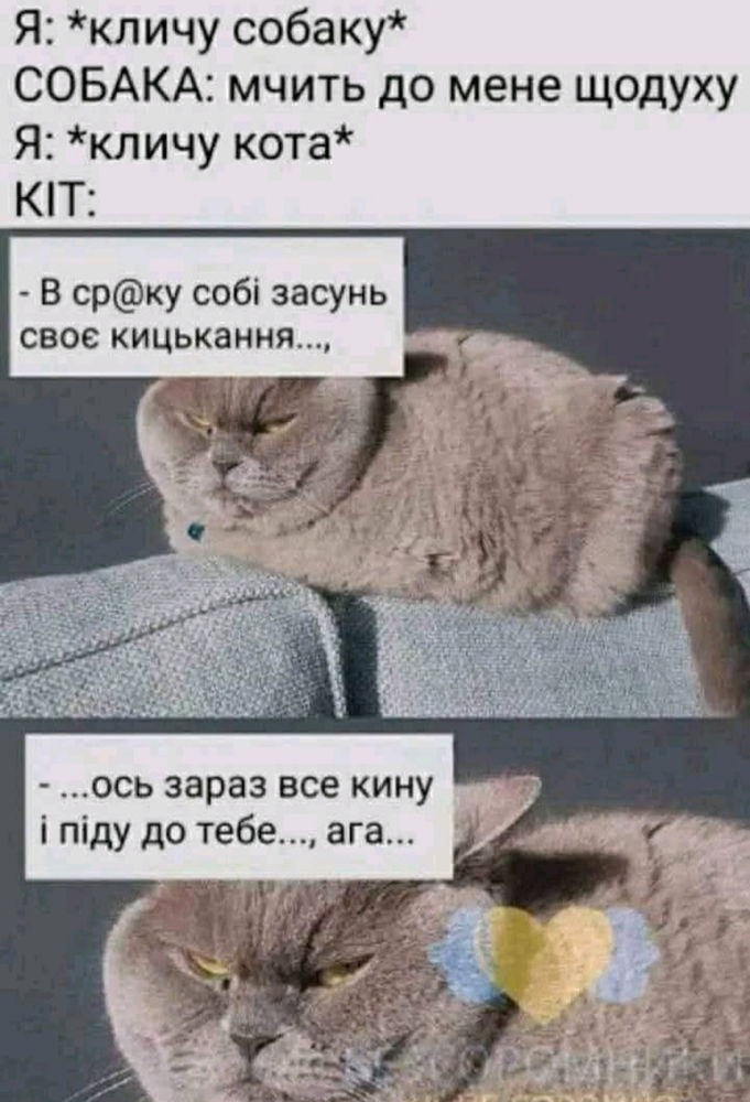 Це правда??