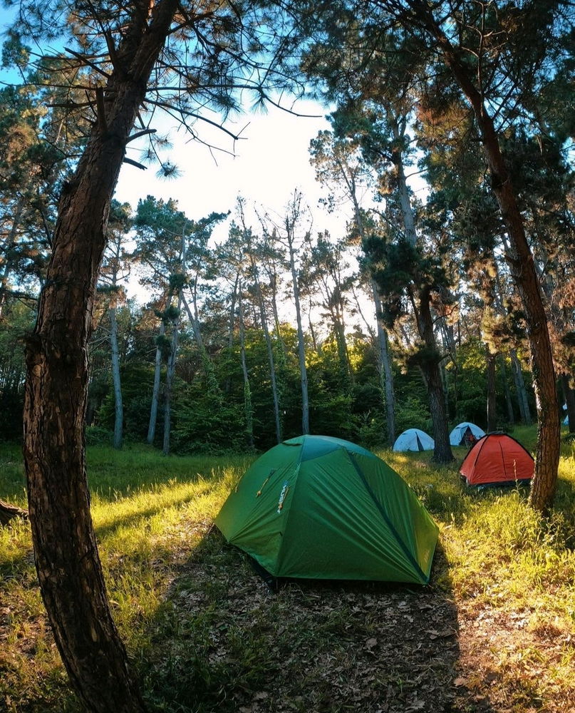 ⛺