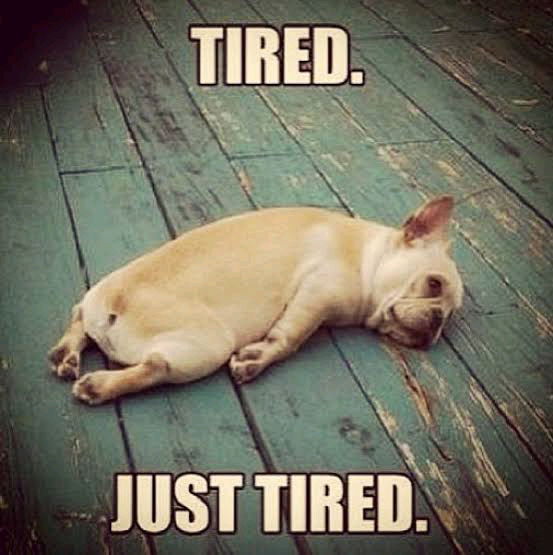 I want 2 whole day rest