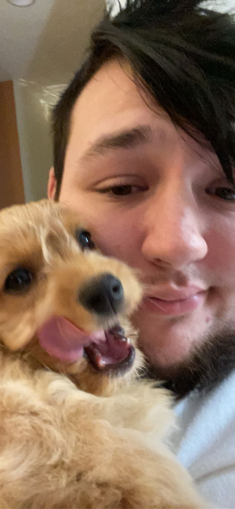Puppy