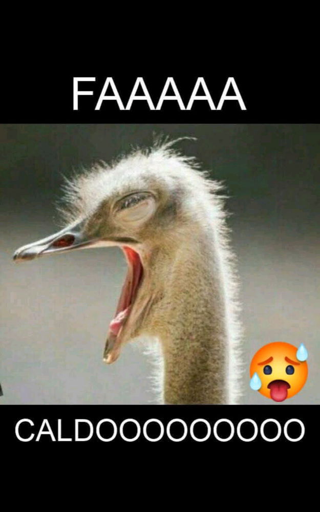 Naaaaaaa....