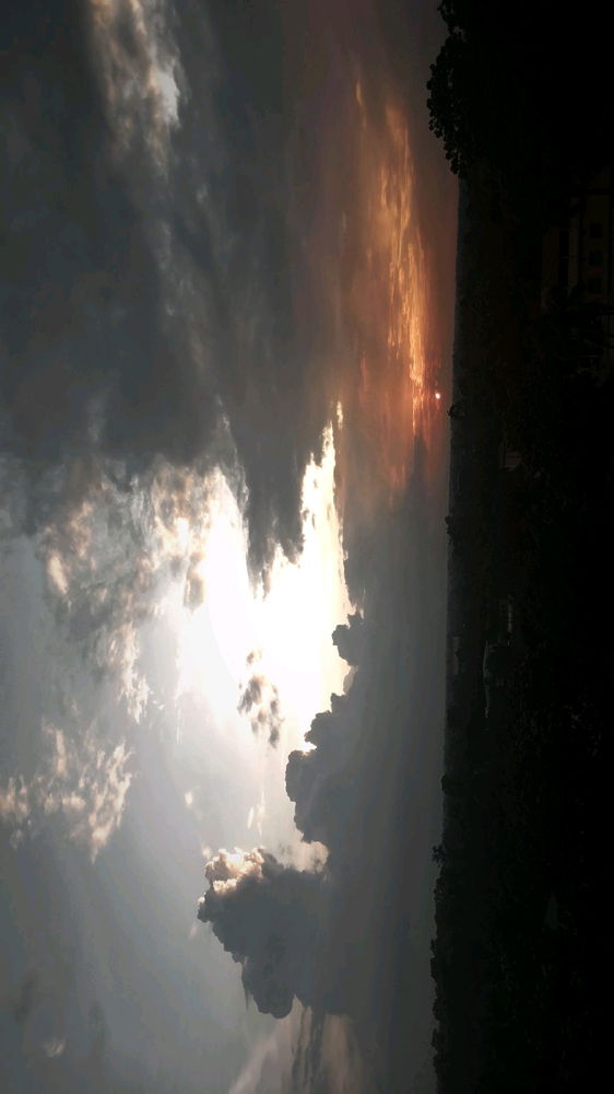 🌿🌄✨️