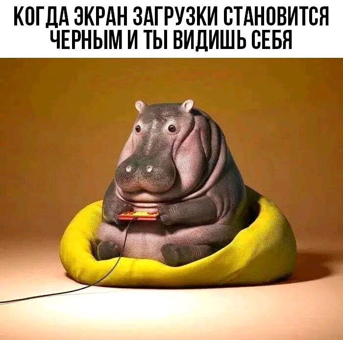 Игры