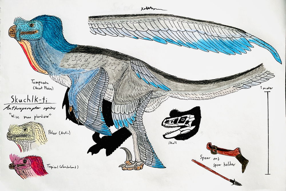 Skuchlk-ti: Common, sapient dromaeosaurs from Eurasia and North America