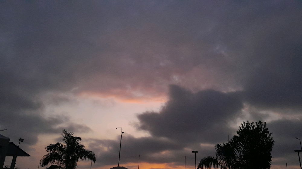 Look into the Sky..