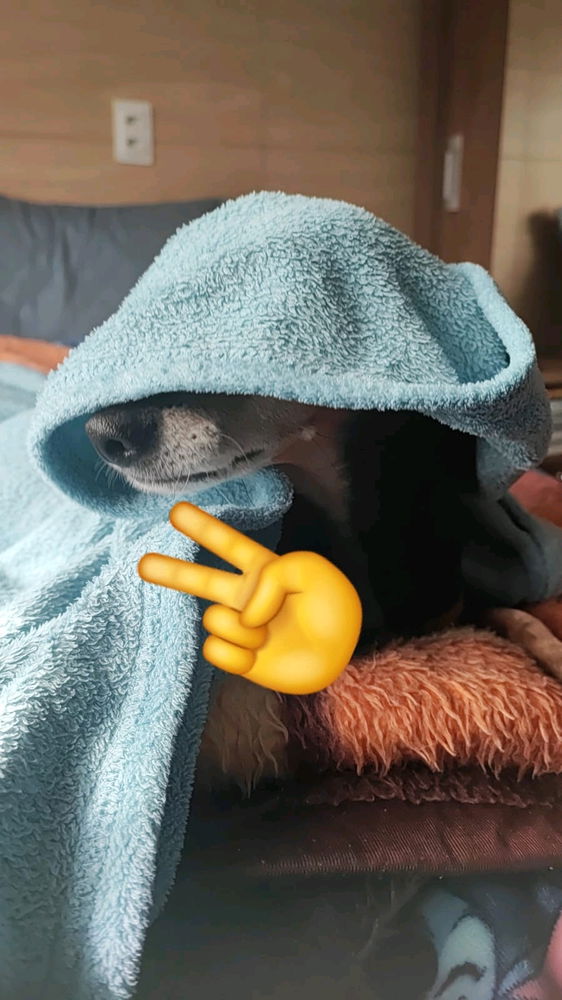 🥶