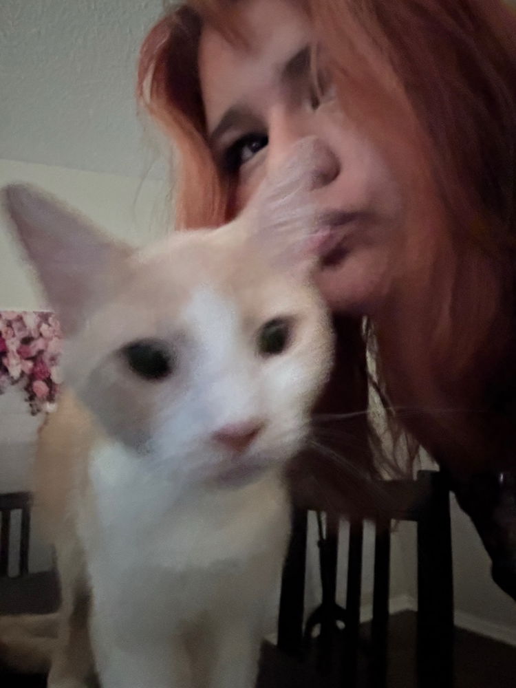MI GATTTOO