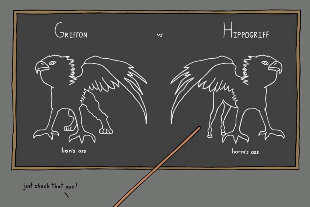 Fun little mythology fact, hippogriffs are easily distinguishable from griffins by comparing the back ends of both creatures