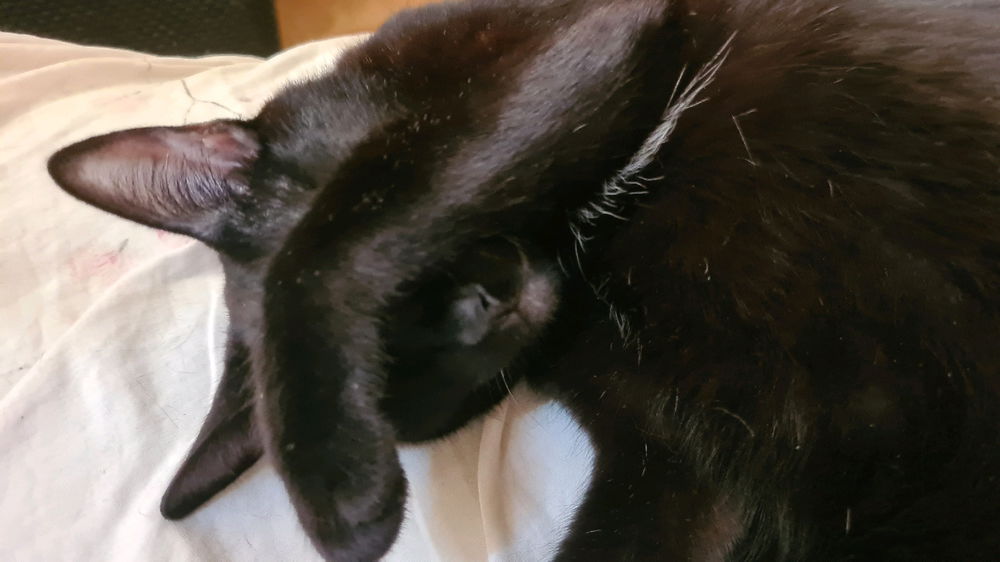Minha nenrm
