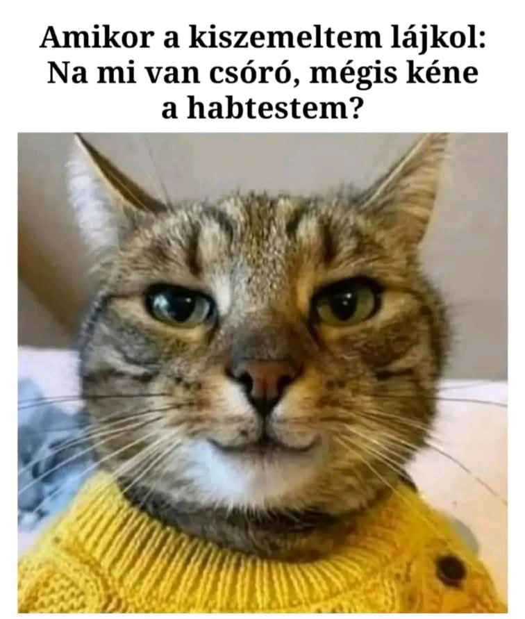Ááá dehogy, ez még nem történt meg 😂

Vagy mégis 🙄🤔🤣