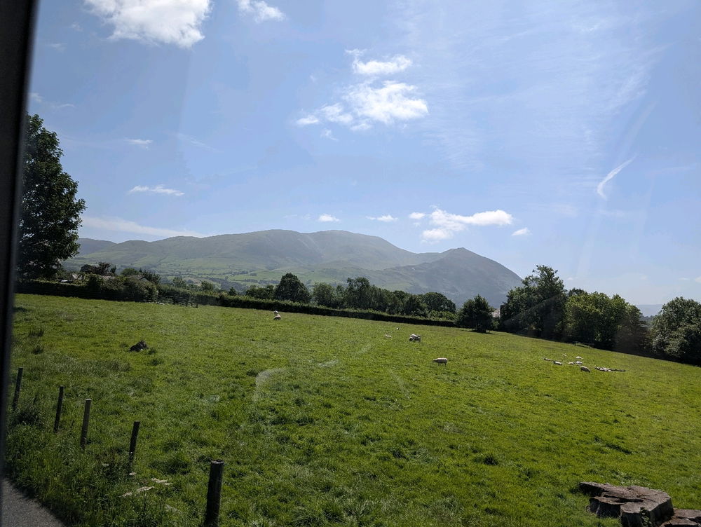 Today's trip out