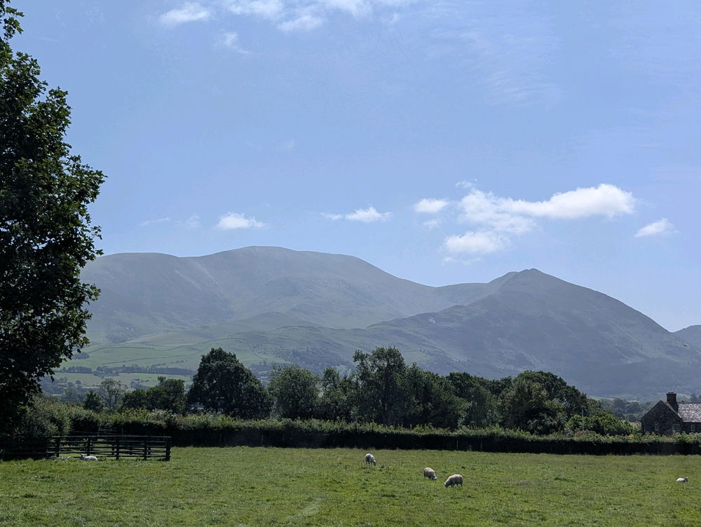 Today's trip out