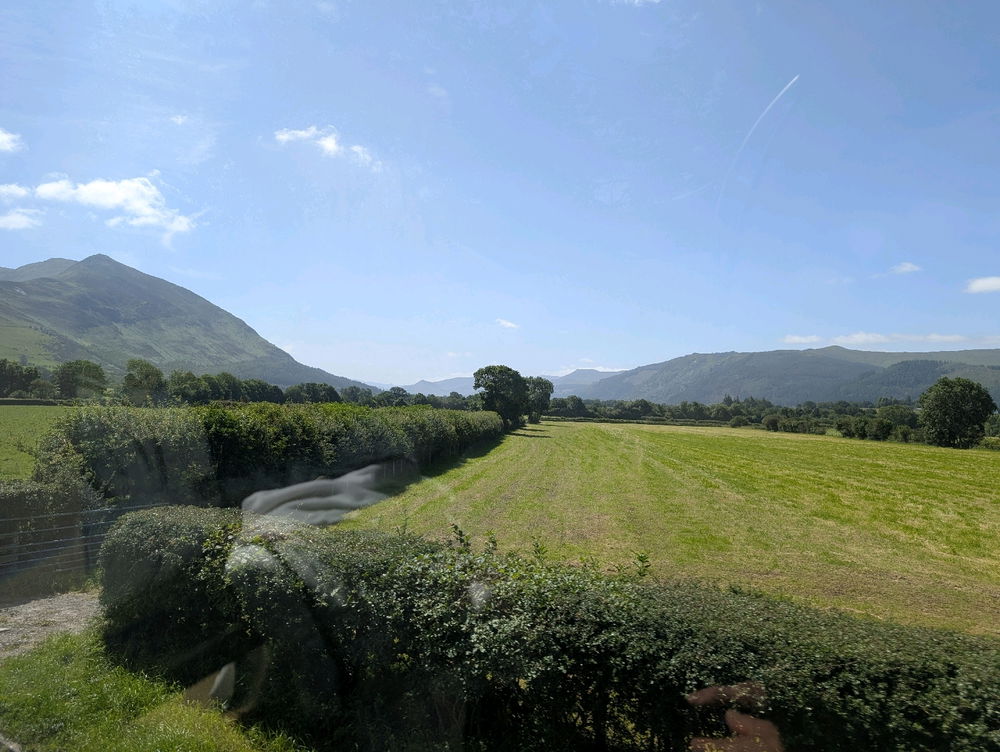Today's trip out