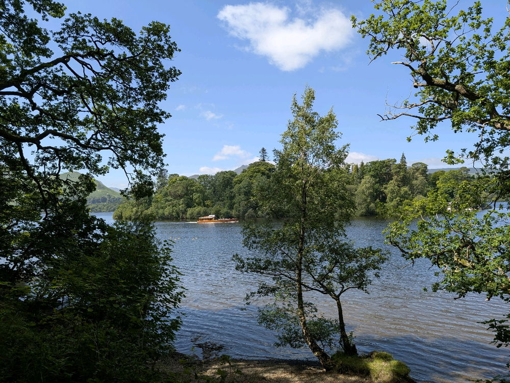 Today's trip out