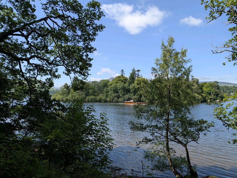 Today's trip out